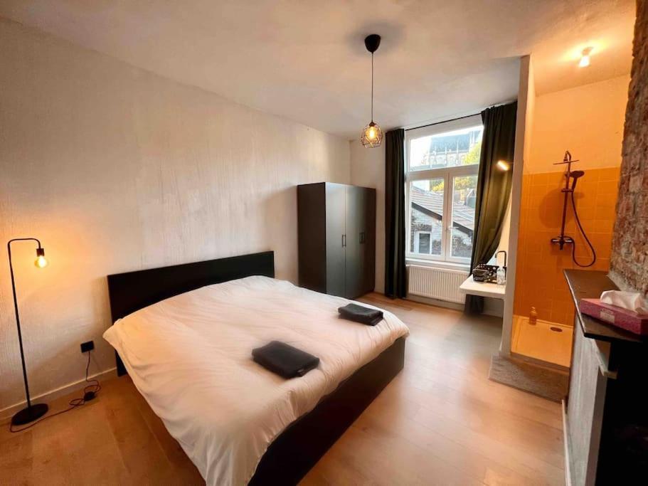 Appartement Le Aux Briques Rouges - Coeur Historique